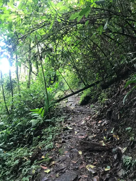 Un pasadía de Ensueño: Salto de Candelas